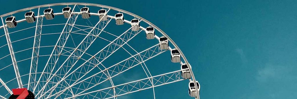 The wheel of life